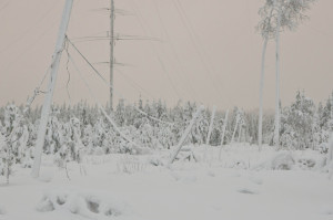 Beverage antennas encrusted in ice and -20C