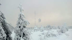 Trees laden with ice at -20C at OH8X